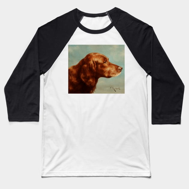 Portrait of an Irish Setter (circa 1900) by Carl Reichert Baseball T-Shirt by Naves